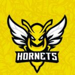 Sporting Hornets Roma